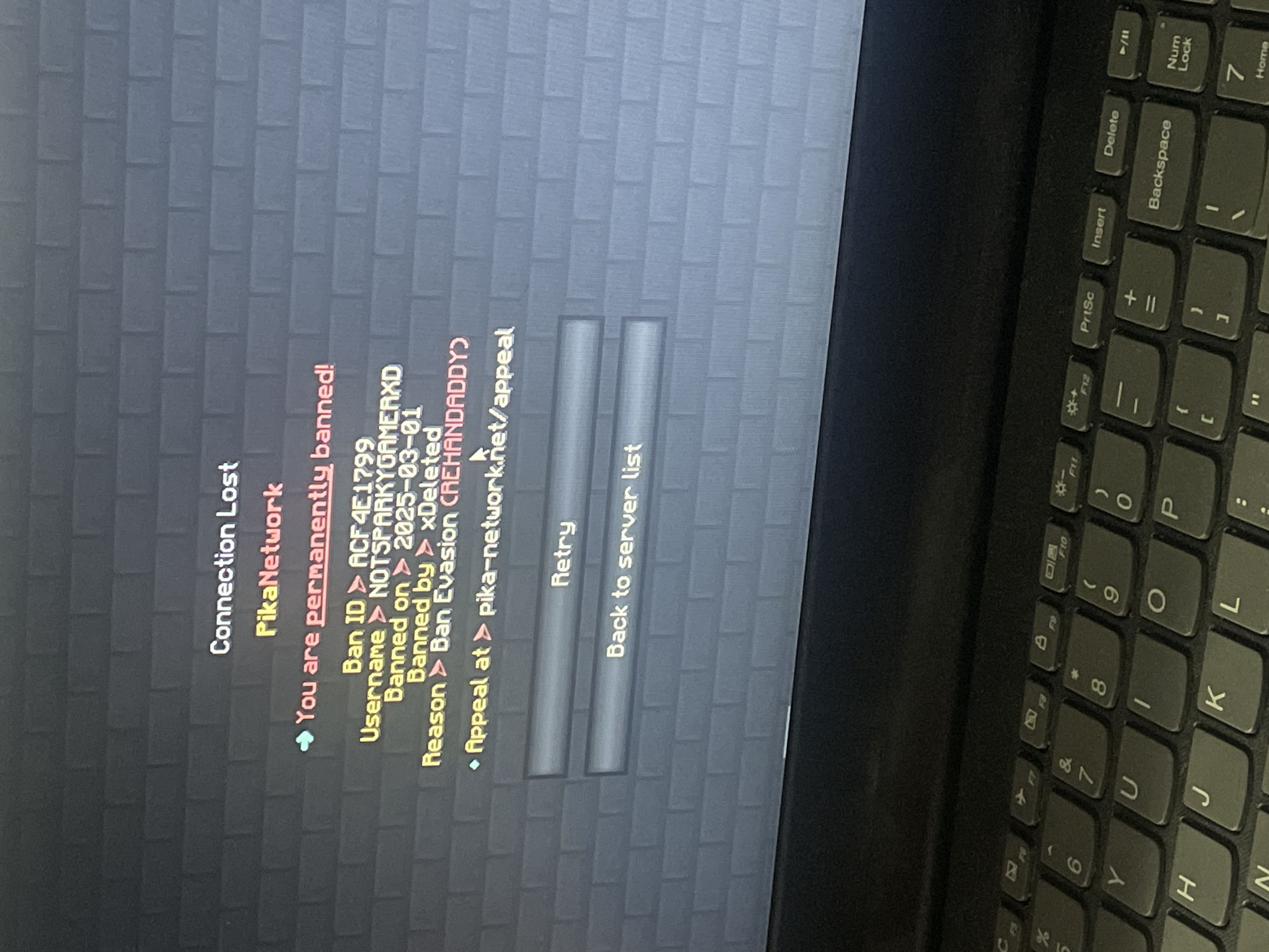 Lightshot screenshot