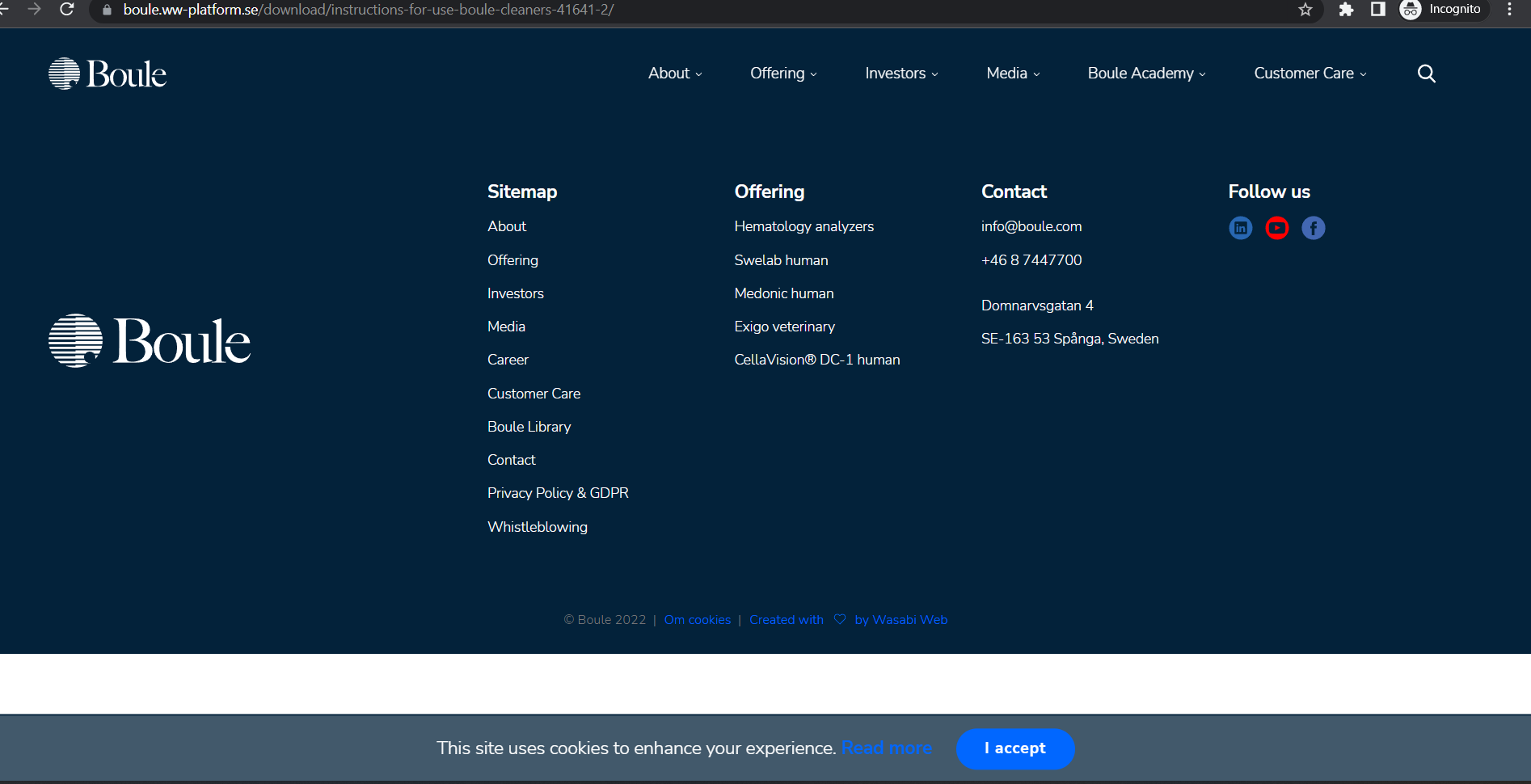 Lightshot screenshot