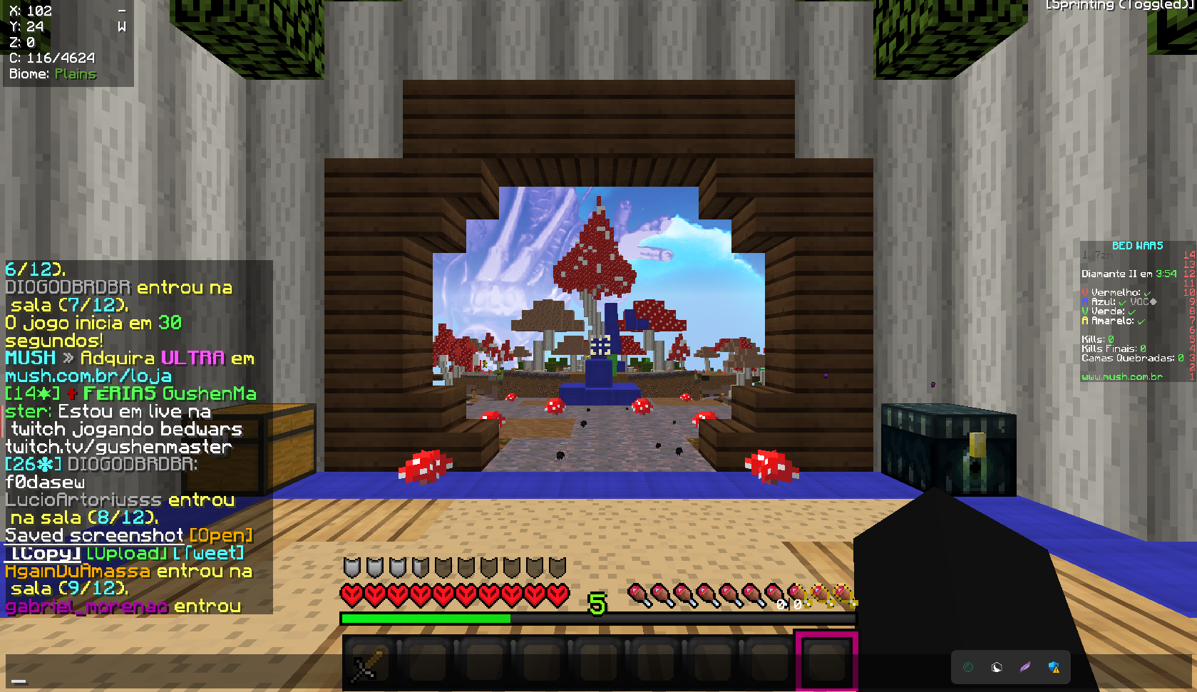 Lightshot screenshot