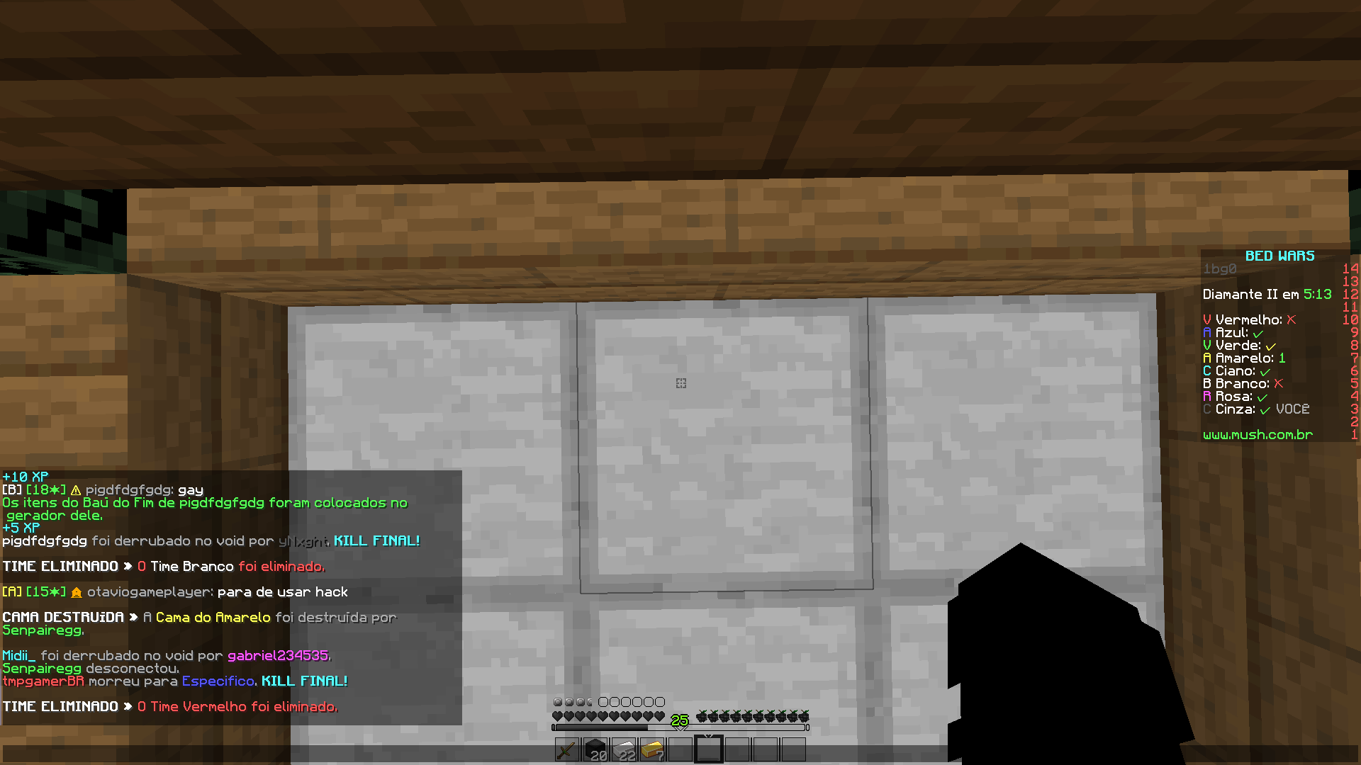 Lightshot screenshot