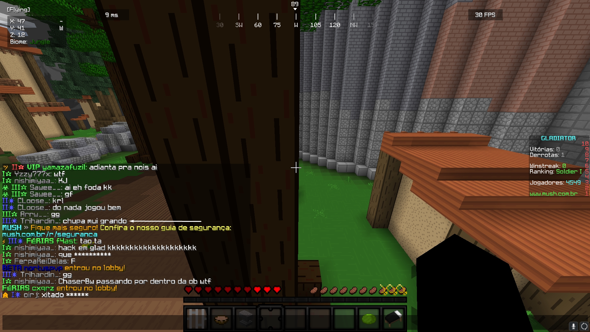 Lightshot screenshot