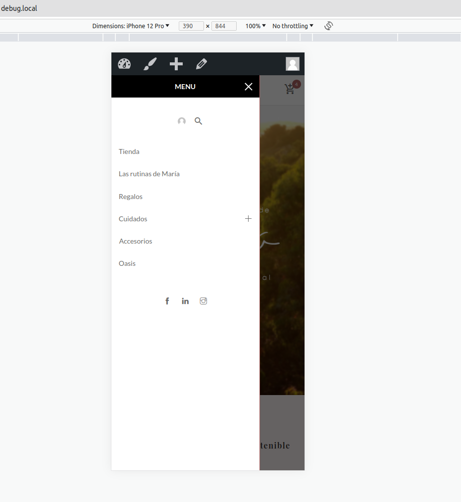Lightshot screenshot