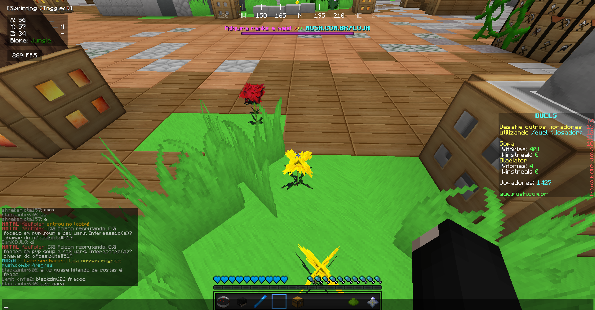 Lightshot screenshot