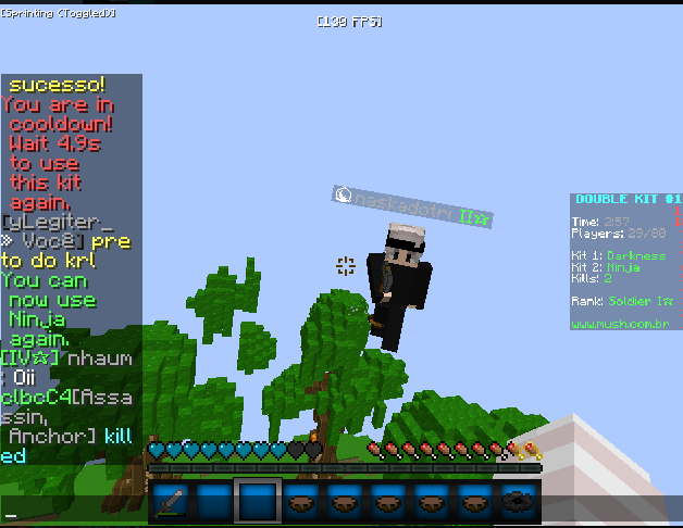 Lightshot screenshot