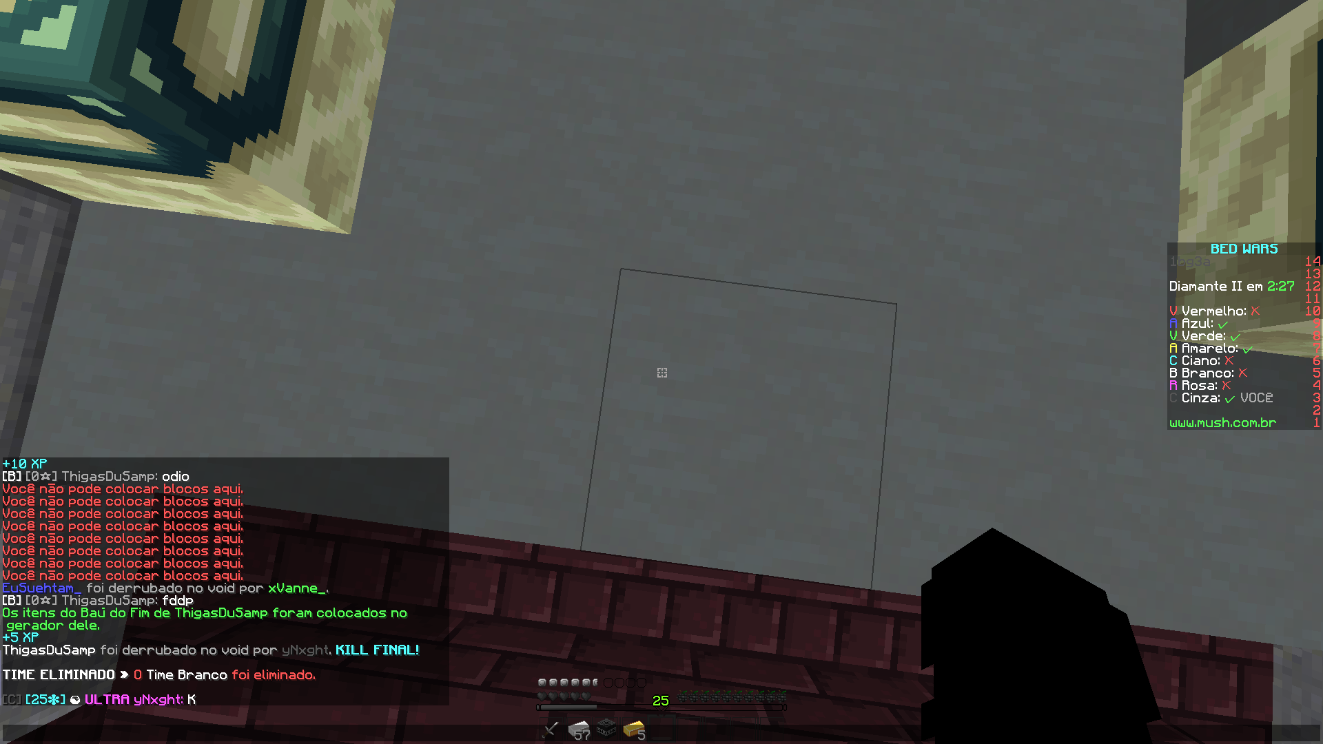 Lightshot screenshot