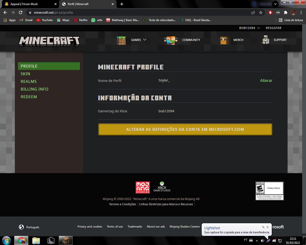 Lightshot screenshot