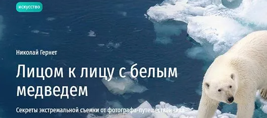 A5j_K3_tT56y2y94vZODuA.png