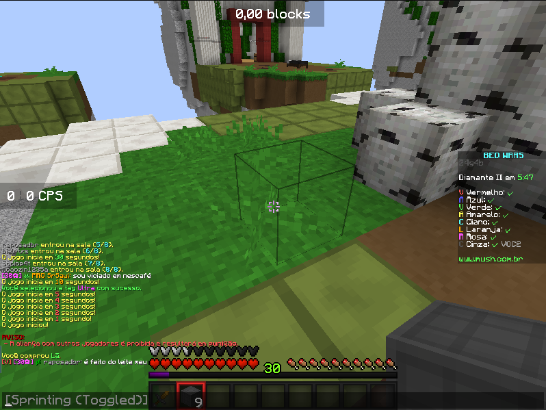 Lightshot screenshot