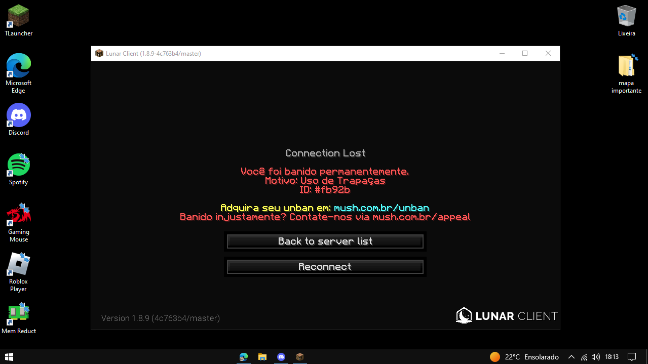 Lightshot screenshot