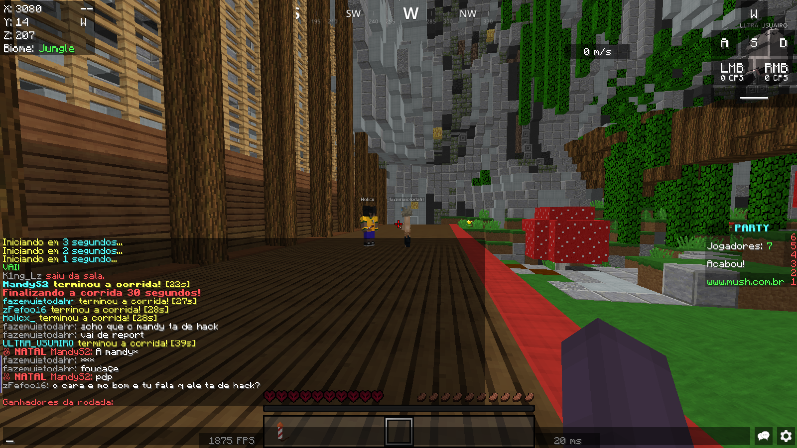 Lightshot screenshot