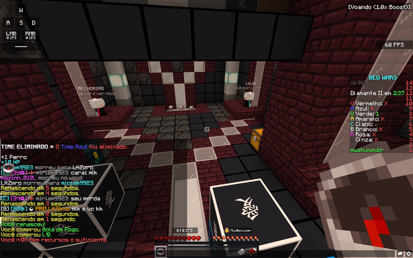 Lightshot screenshot