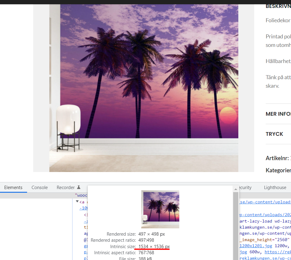 Lightshot screenshot