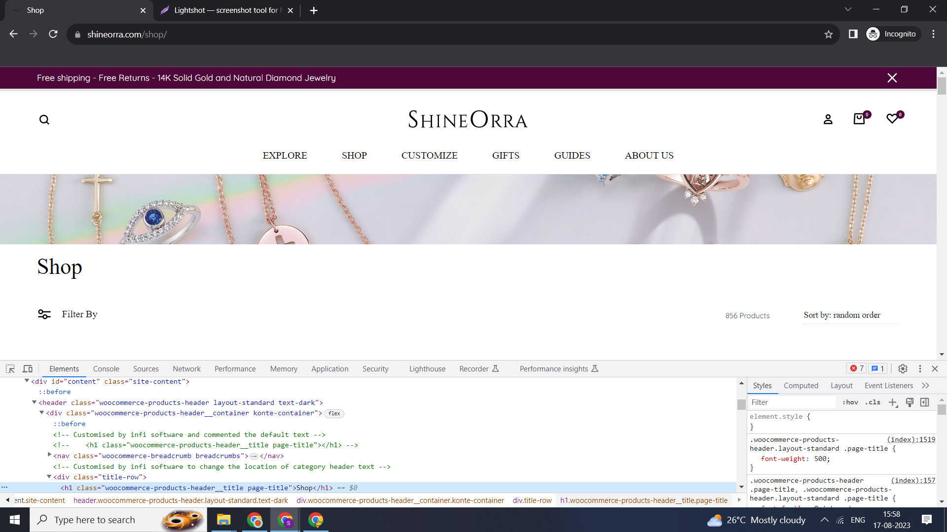 Lightshot screenshot