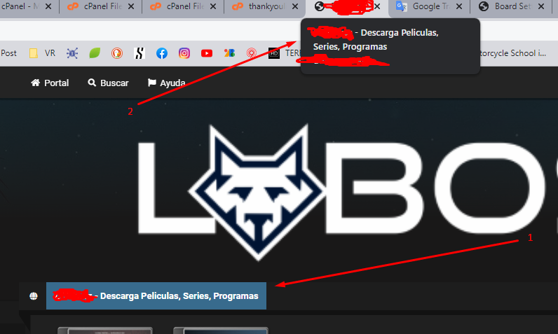 Lightshot screenshot