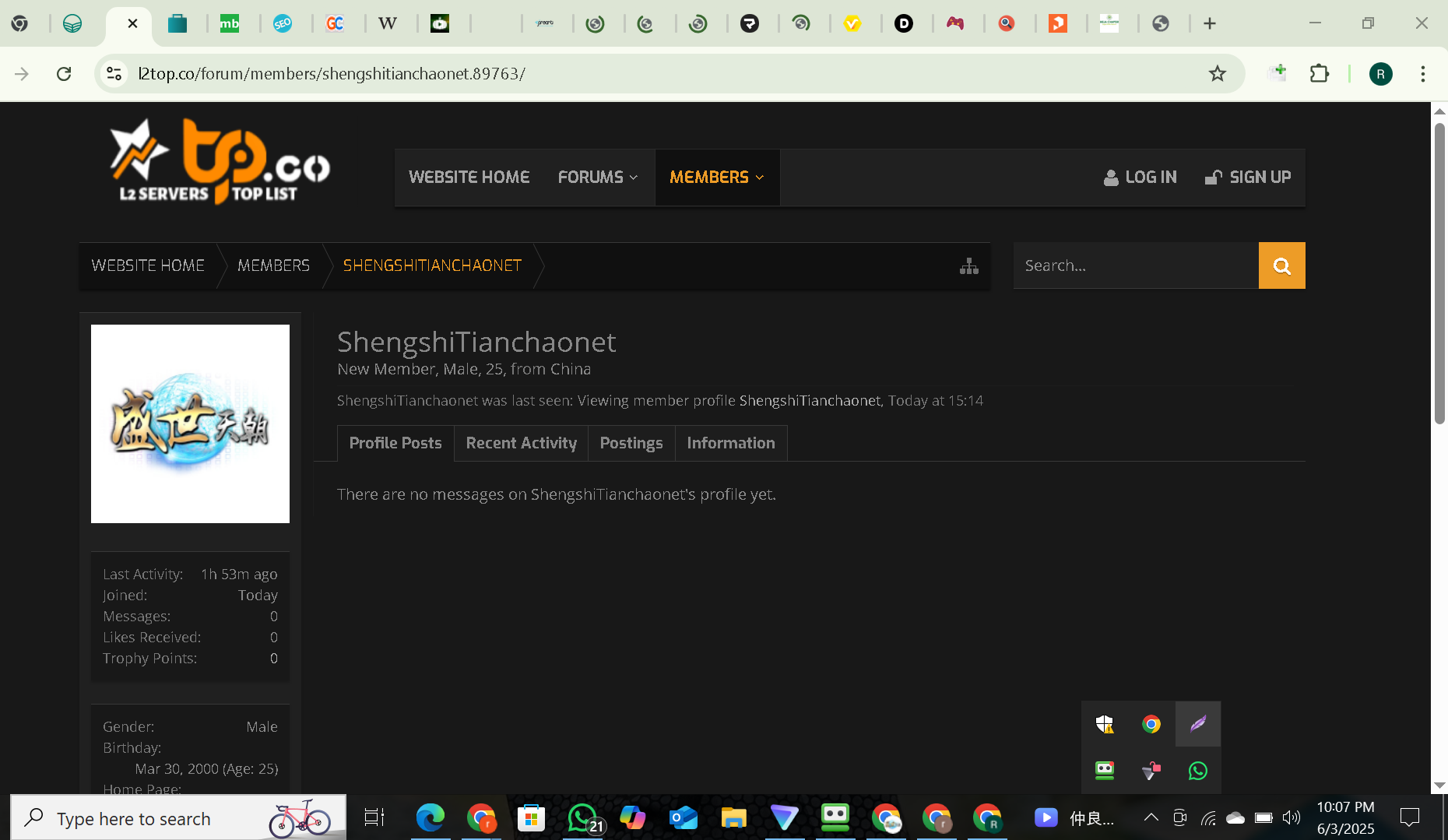 Lightshot screenshot