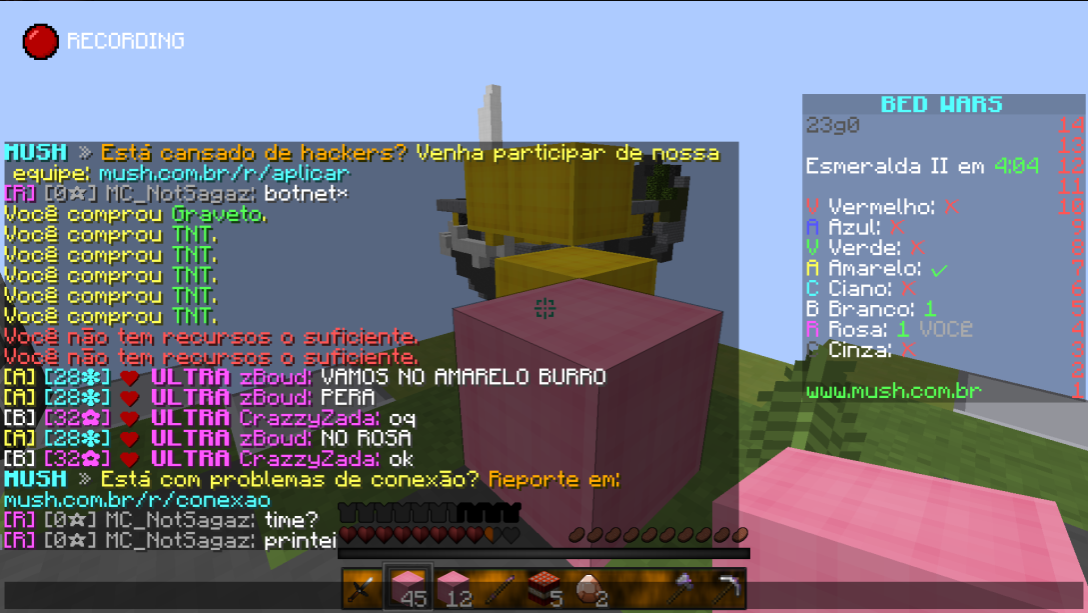 Lightshot screenshot