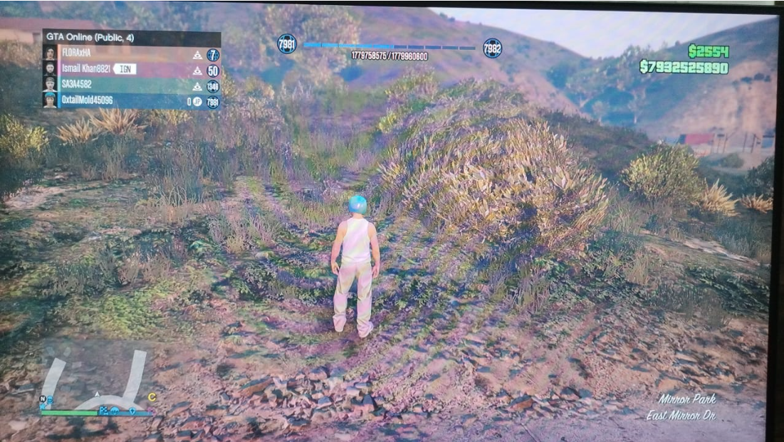 Lightshot screenshot