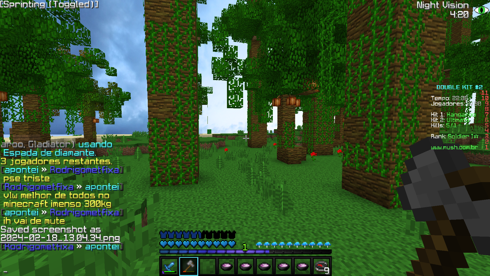 Lightshot screenshot