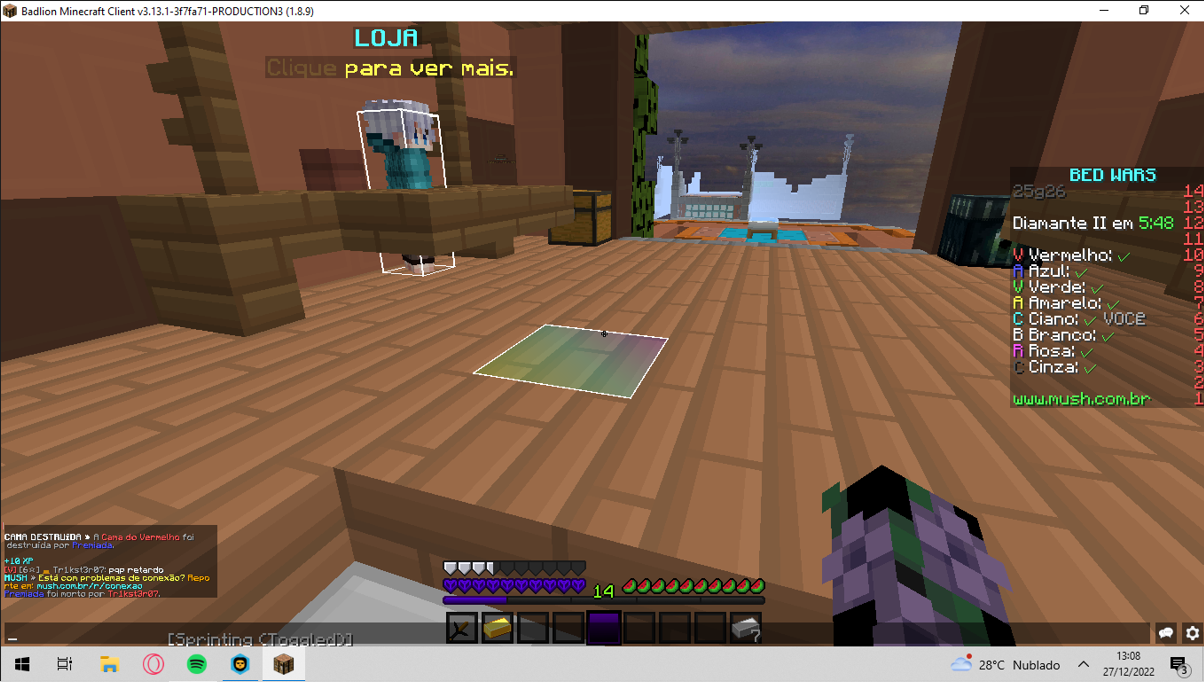 Lightshot screenshot