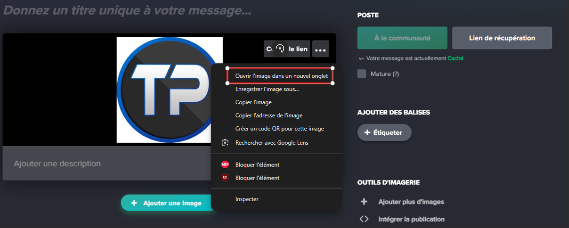 Lightshot screenshot