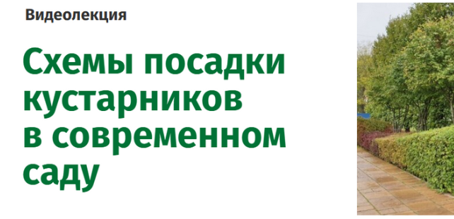 R36SSBjrSLSc41P_LD_f7A.png