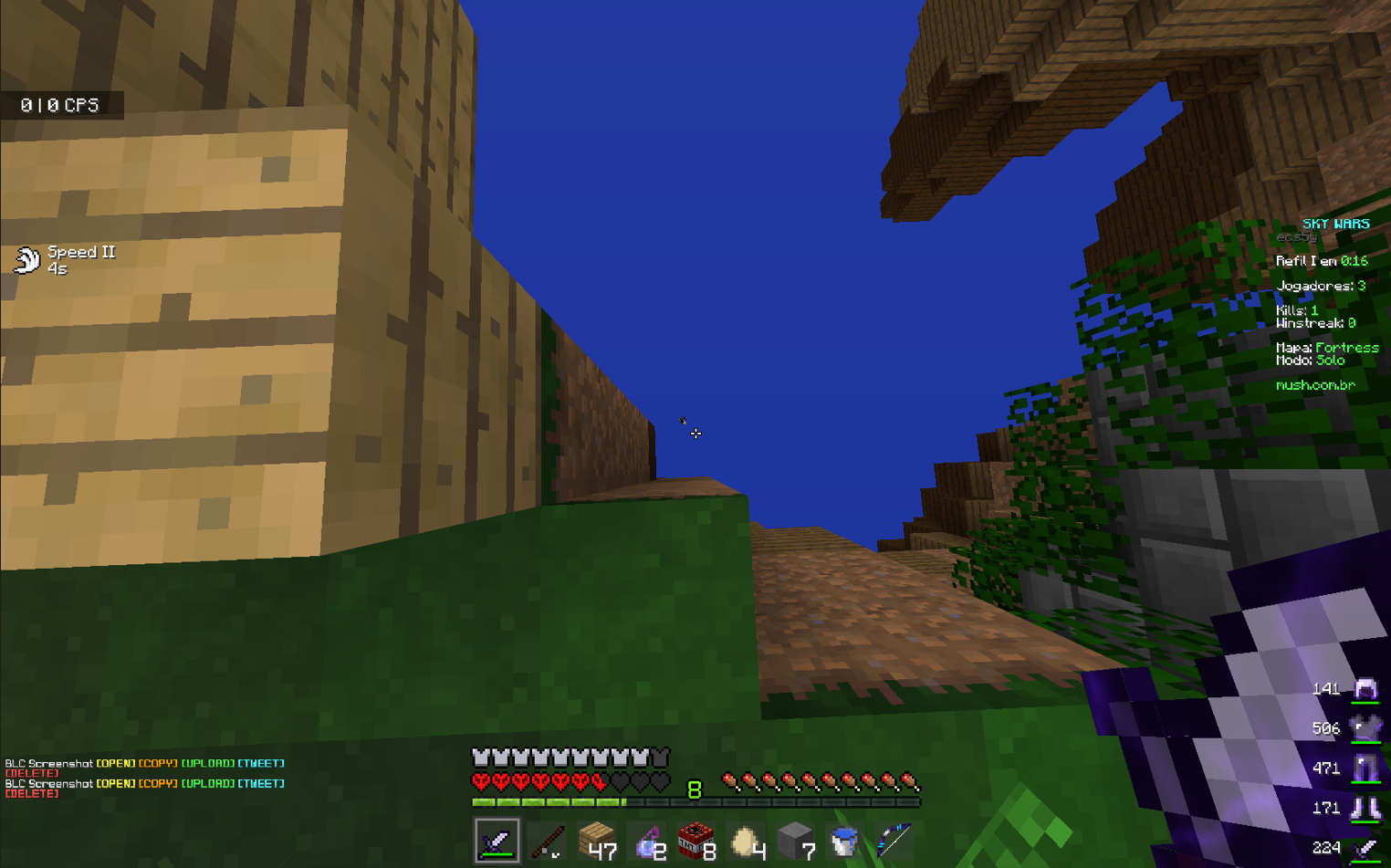 Lightshot screenshot