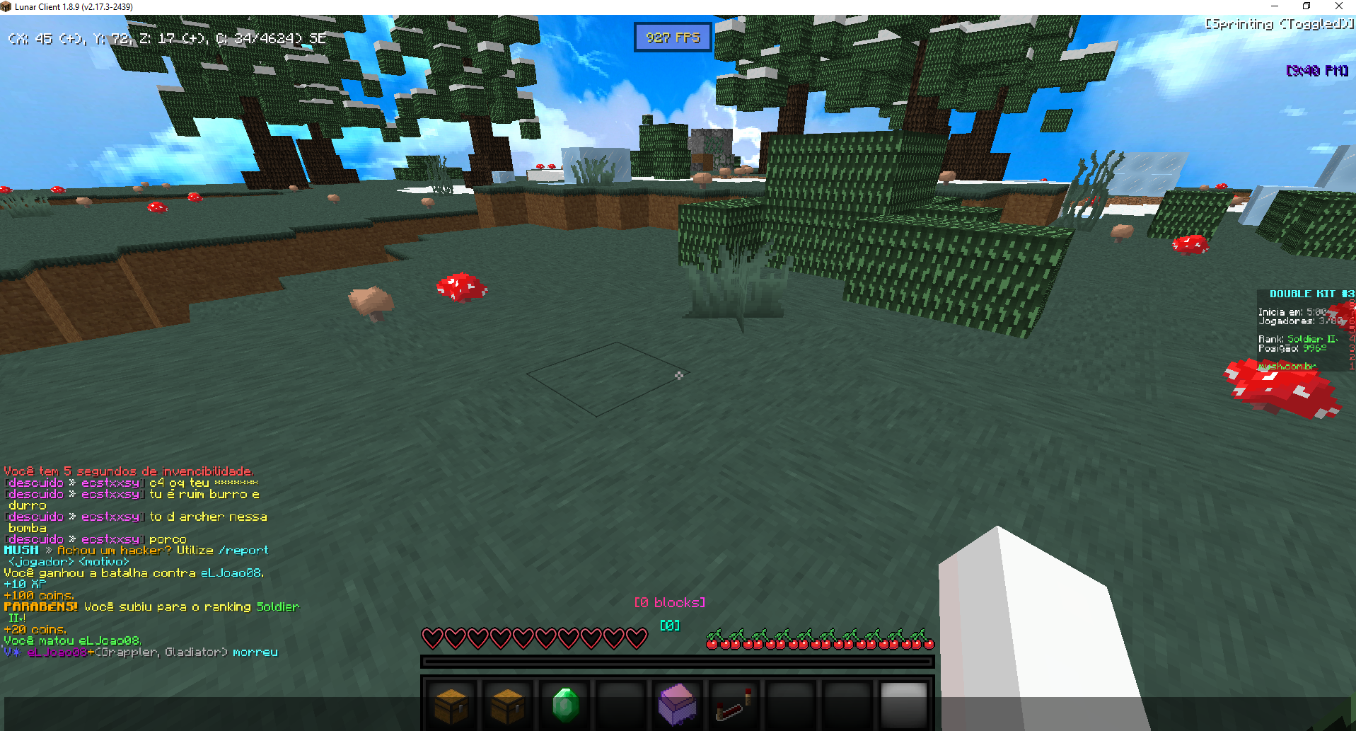 Lightshot screenshot