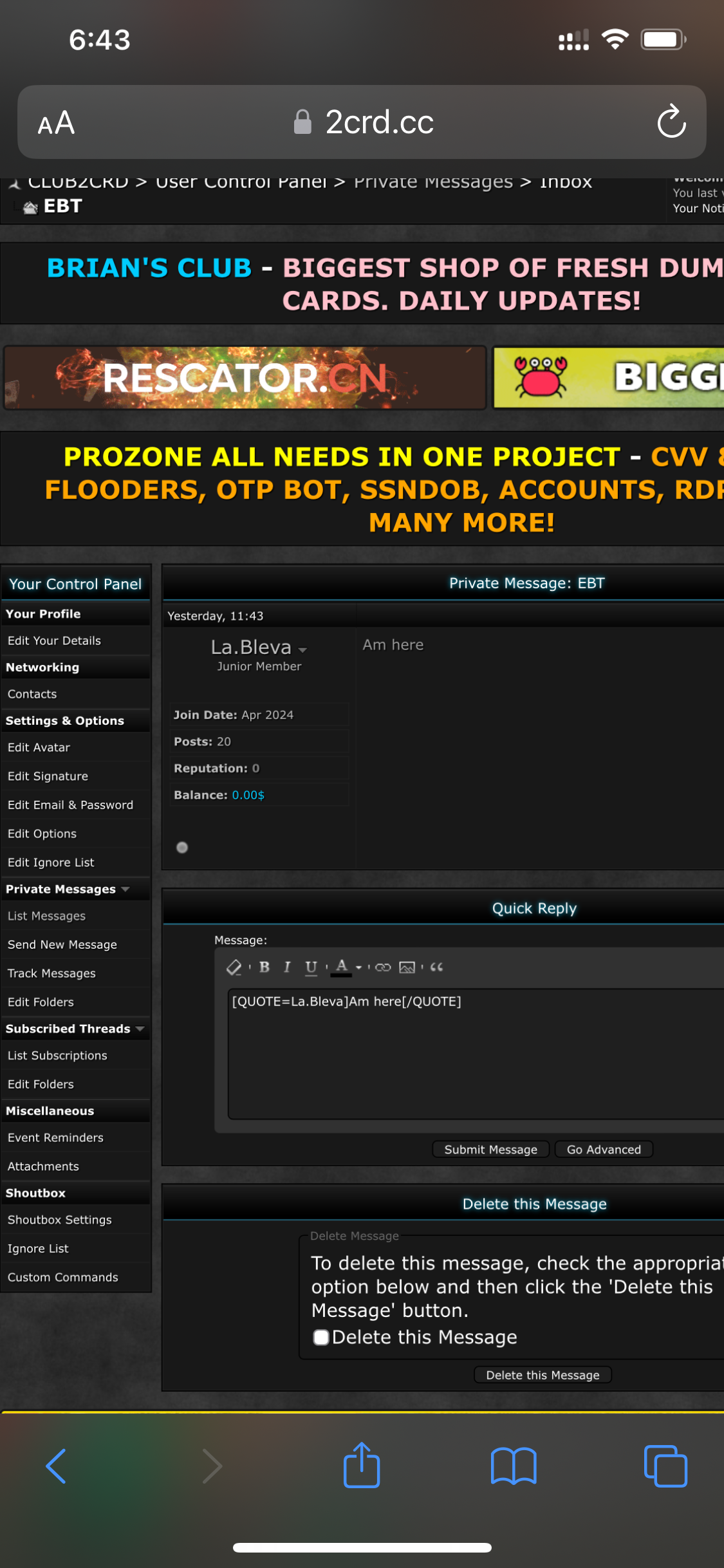 Lightshot screenshot