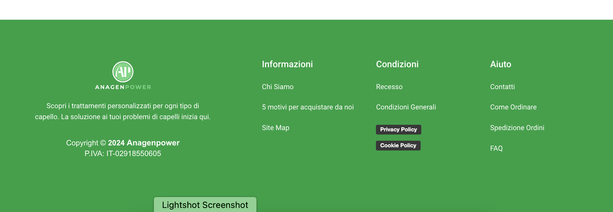 Lightshot screenshot