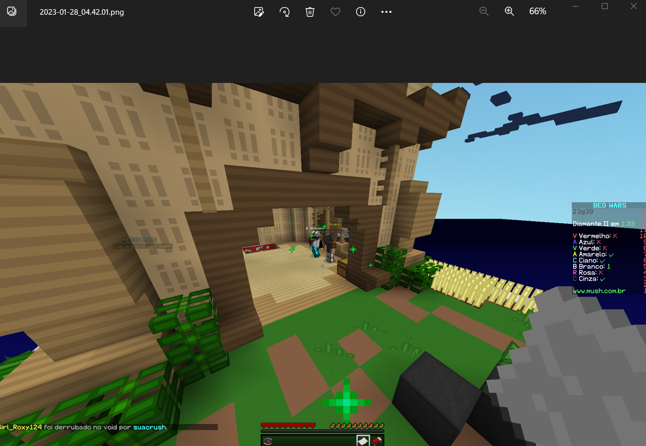Lightshot screenshot