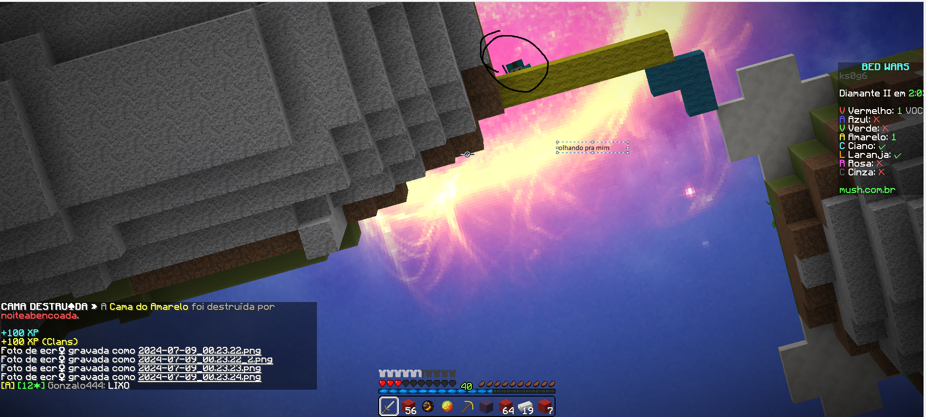 Lightshot screenshot