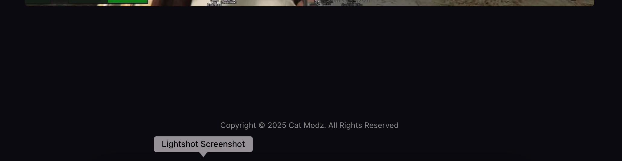 Lightshot screenshot