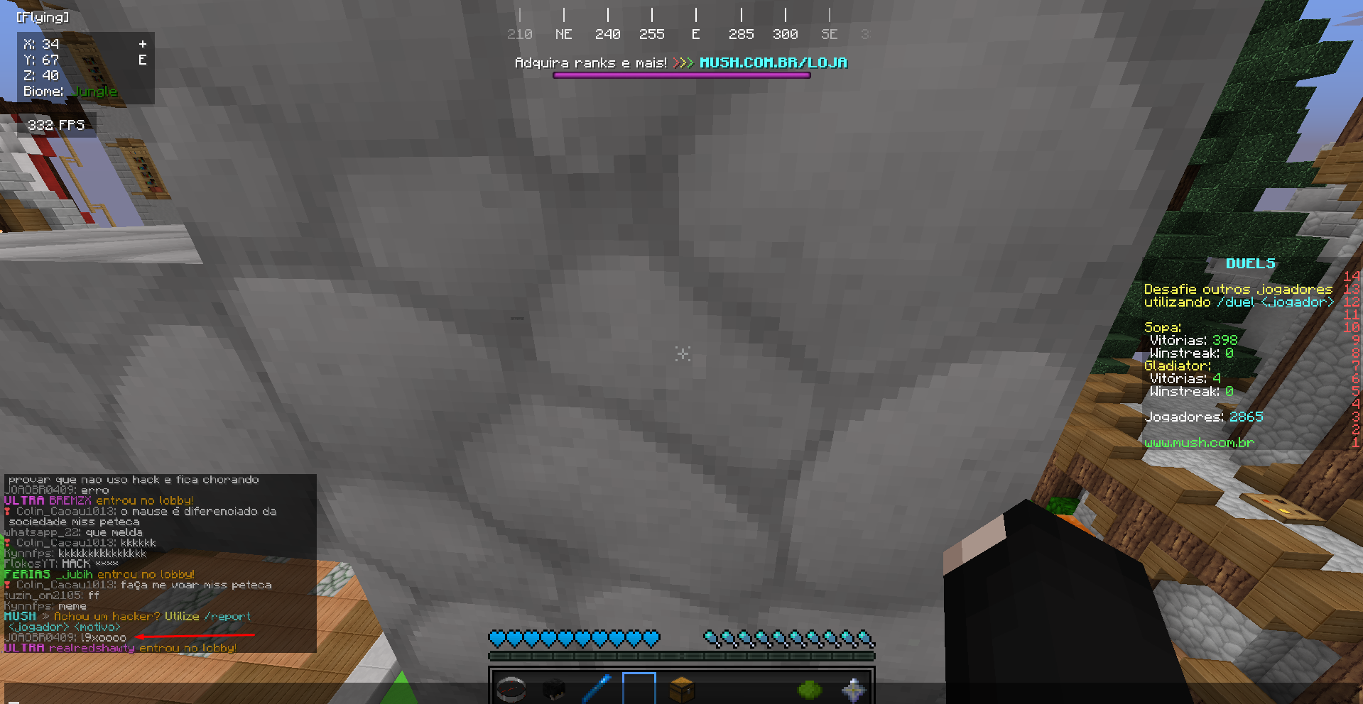 Lightshot screenshot