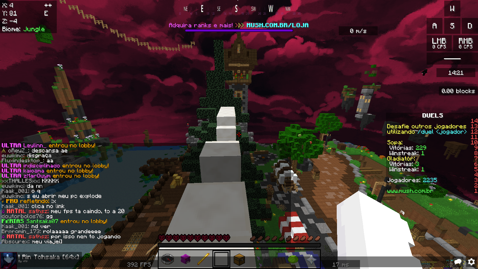 Lightshot screenshot
