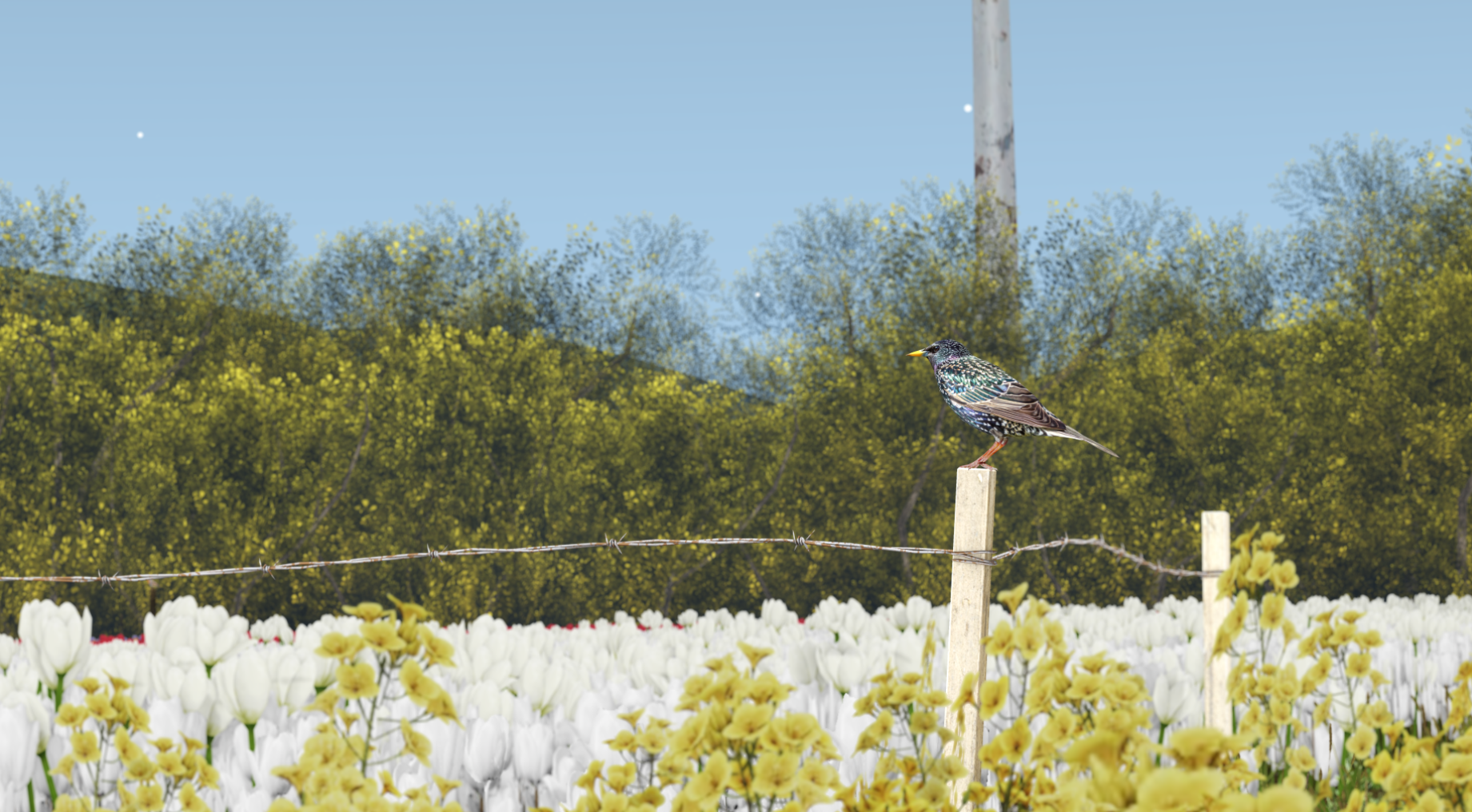 Lightshot screenshot