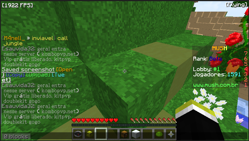 Lightshot screenshot