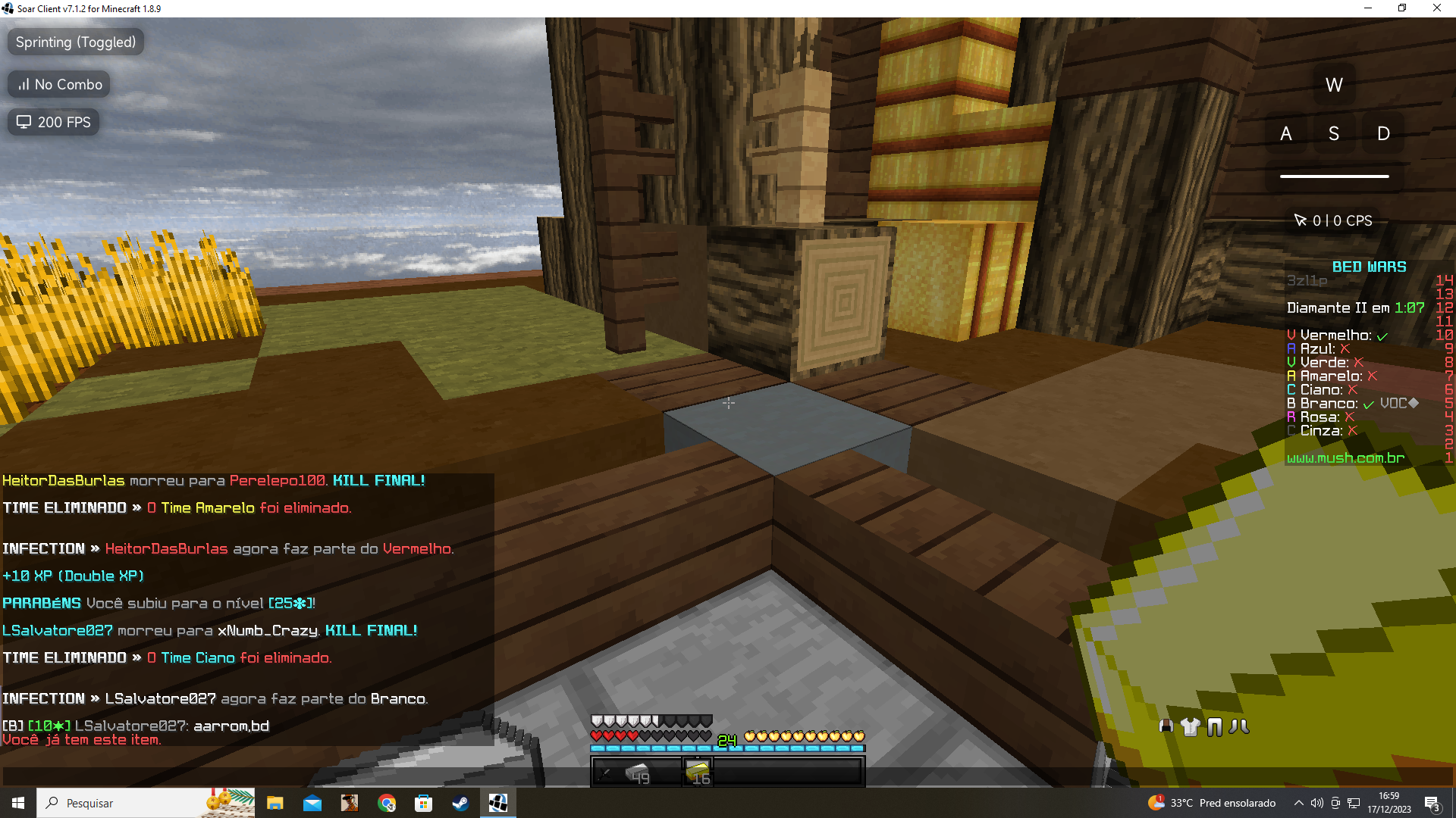 Lightshot screenshot