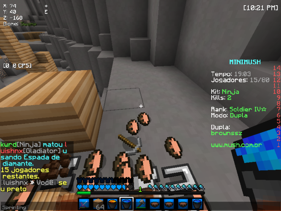 Lightshot screenshot