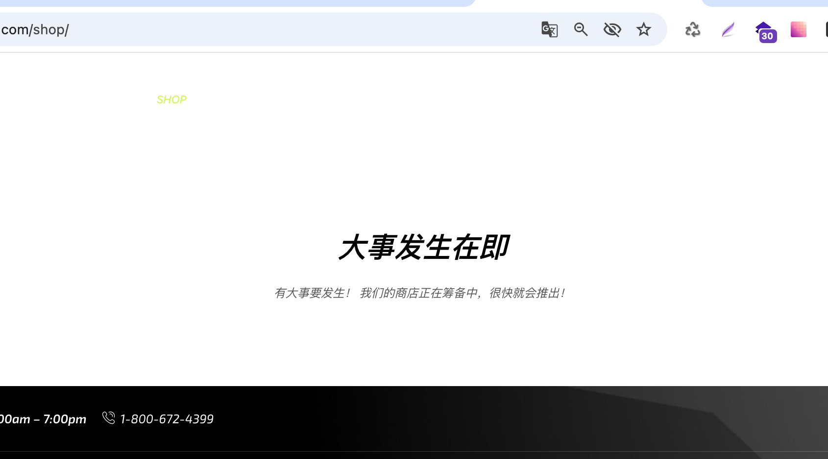 Lightshot screenshot