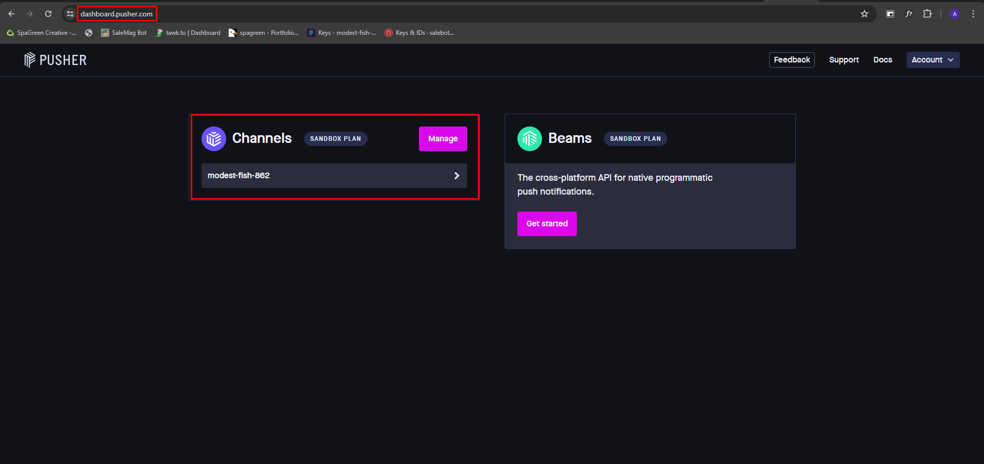 Lightshot screenshot