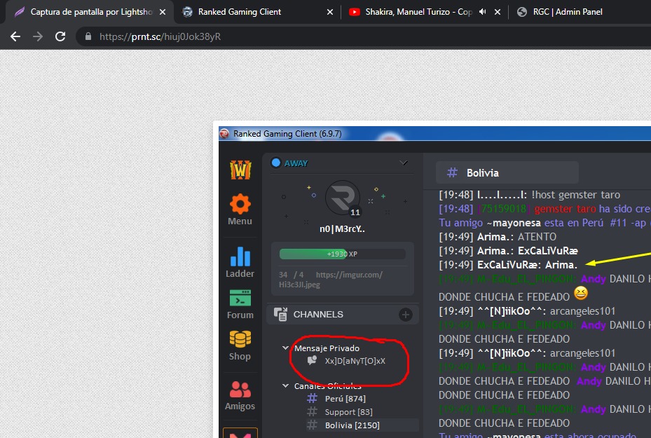 Lightshot screenshot