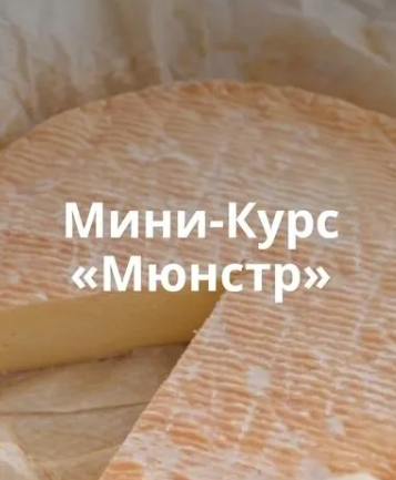 jGhz-cupReCsyZSeh2lagQ.png