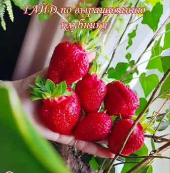 mRL_YwT_Rj-BQOqikBp5xg.png