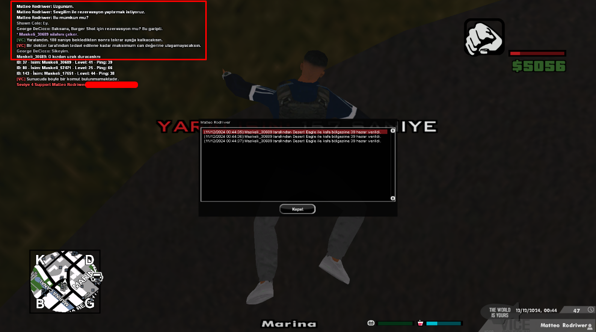 Lightshot screenshot