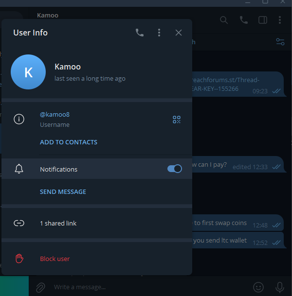 Lightshot screenshot