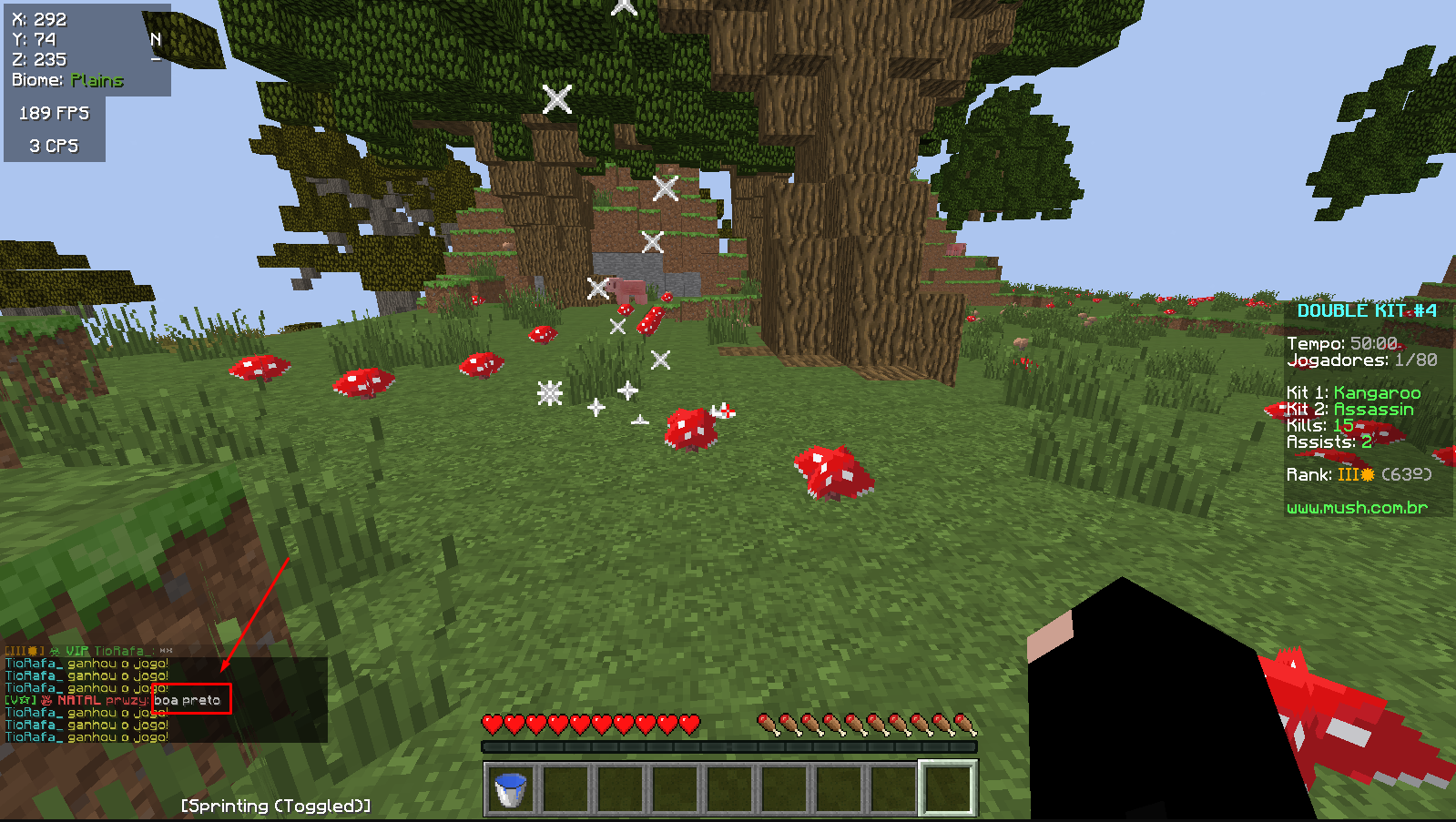 Lightshot screenshot