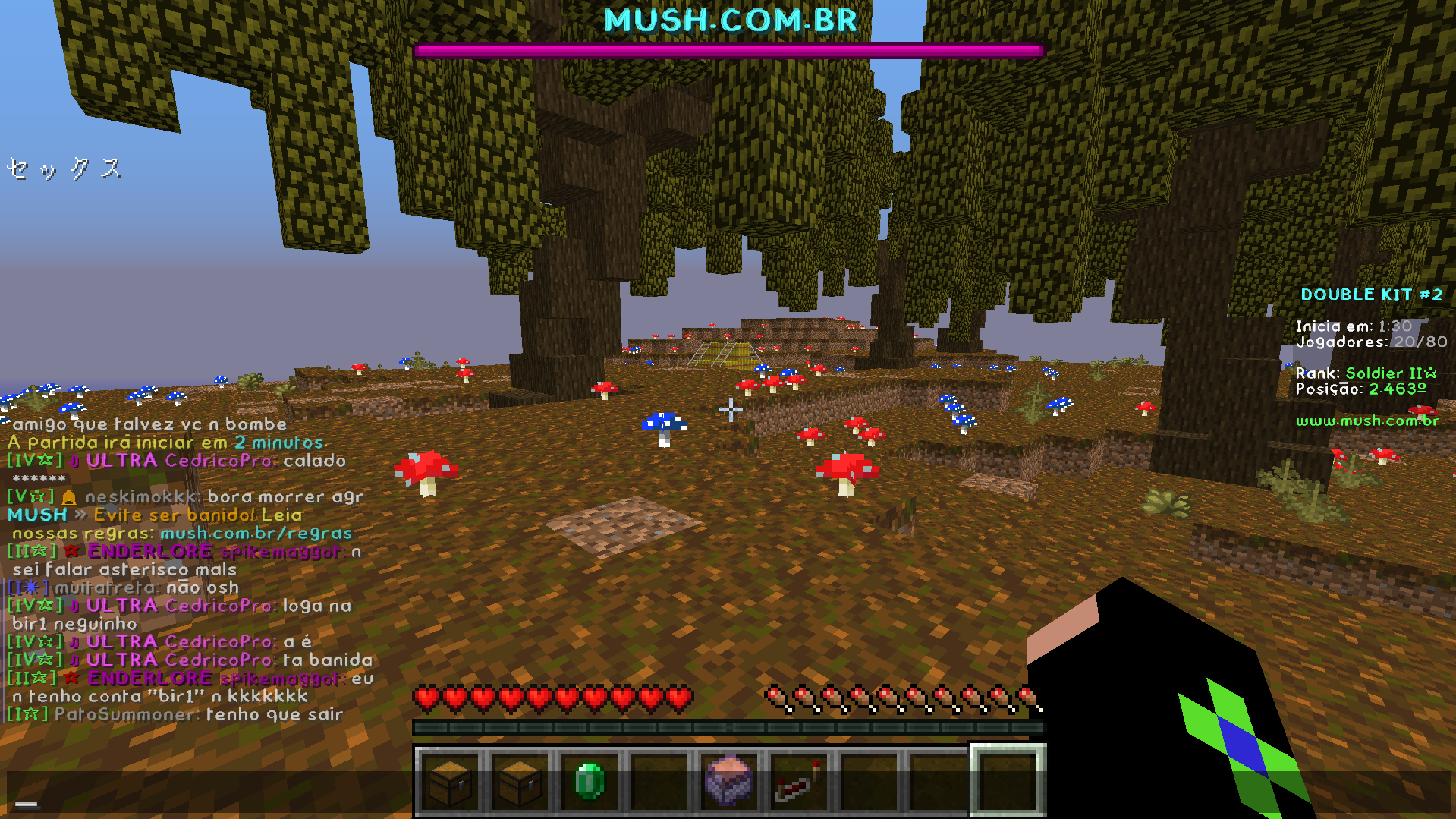 Lightshot screenshot