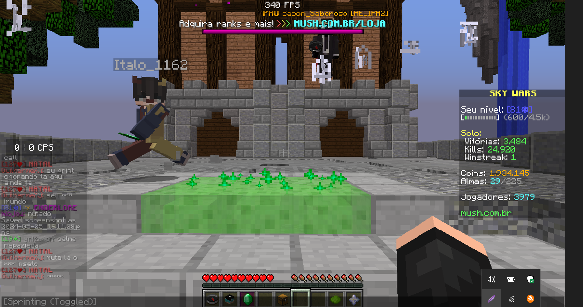 Lightshot screenshot