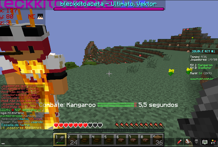 Lightshot screenshot