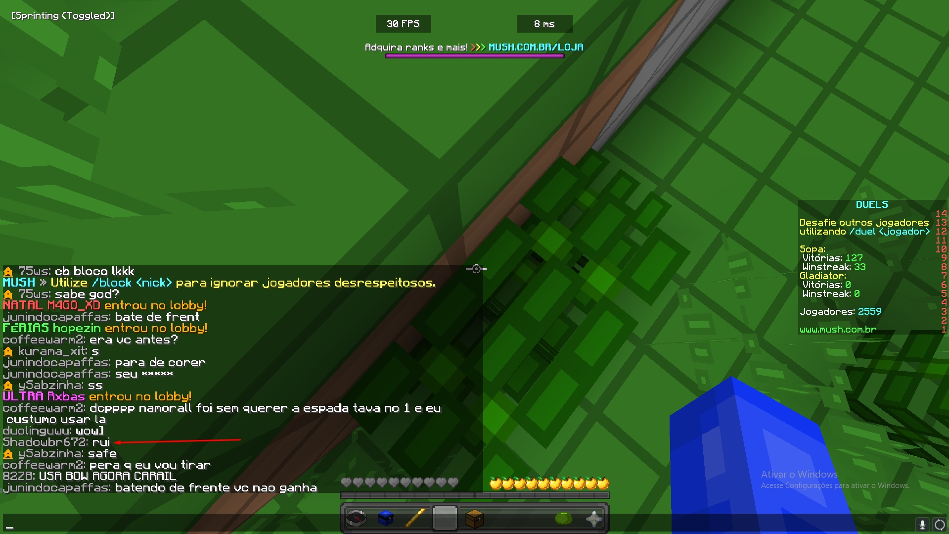 Lightshot screenshot